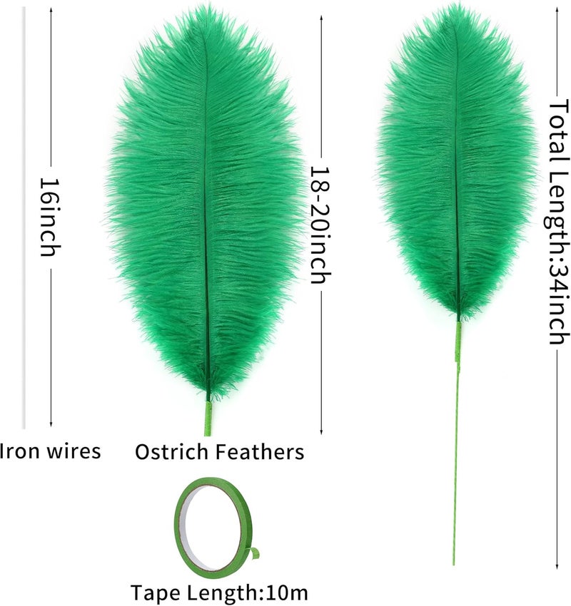 Soarer Green Large Ostrich Feathers - 10Pcs Making Kit 34inch Huge Ostrich Feathers Long for Tall Vase,Floral Arrangement,Mardi Gras Party Centerpieces and Wedding Home Decoration(Green) - Image 3